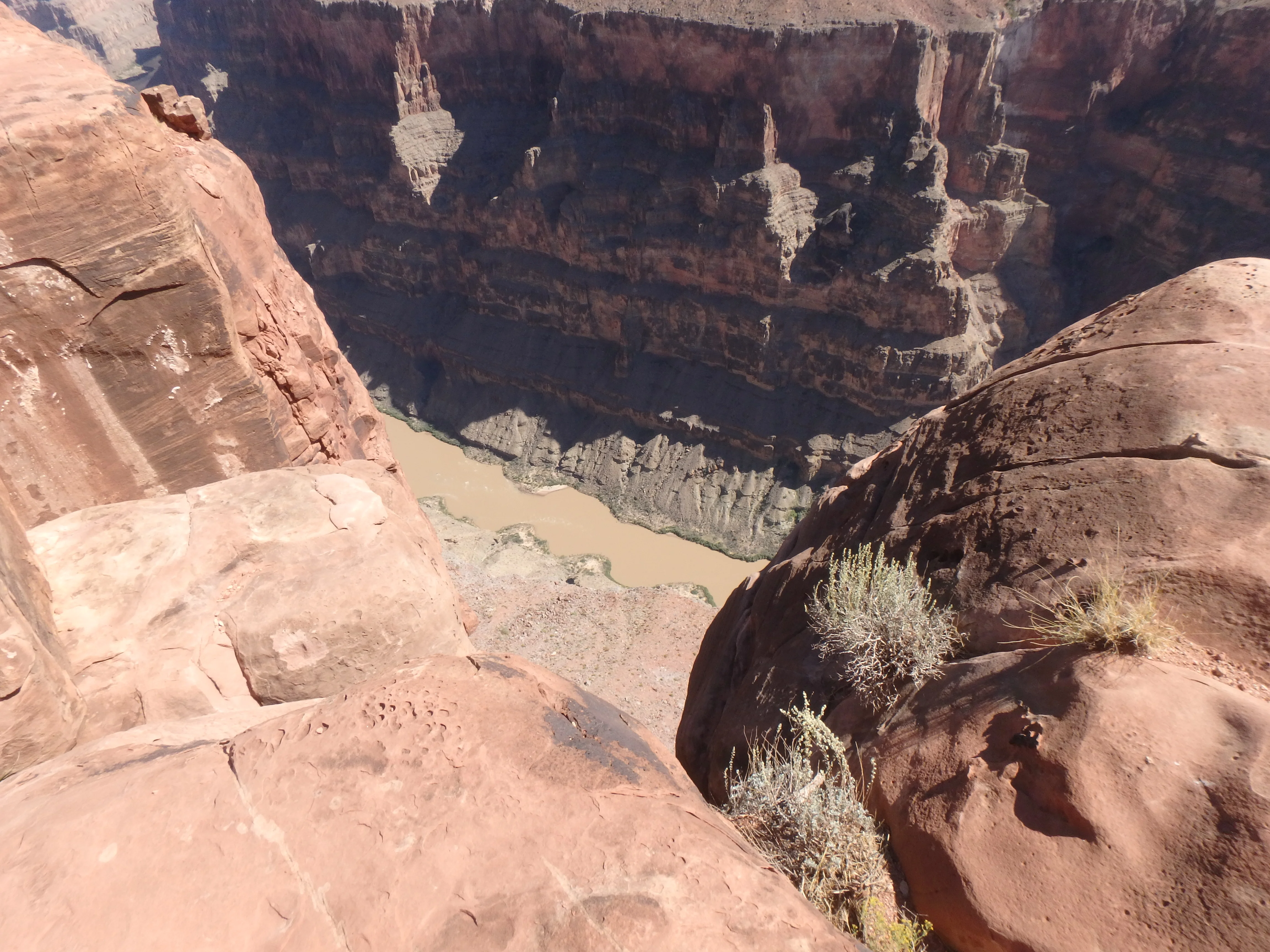 PA060058.webp