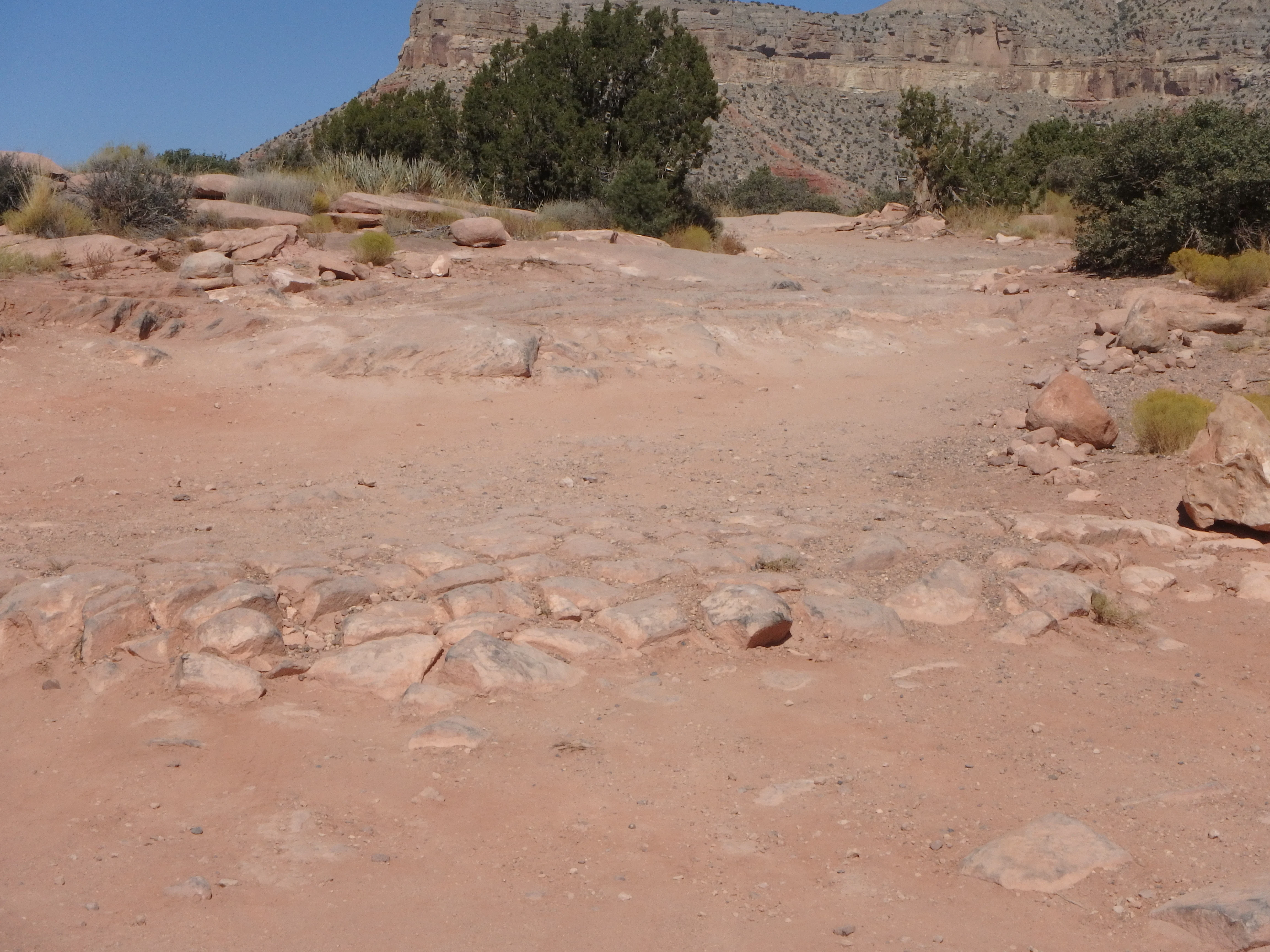 PA060061.webp